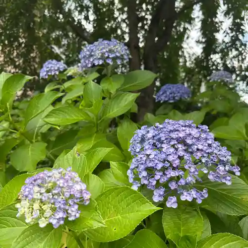 豊景神社(福島県)