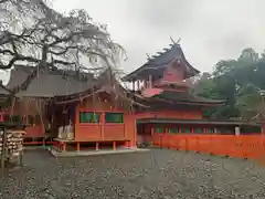 富士山本宮浅間大社(静岡県)