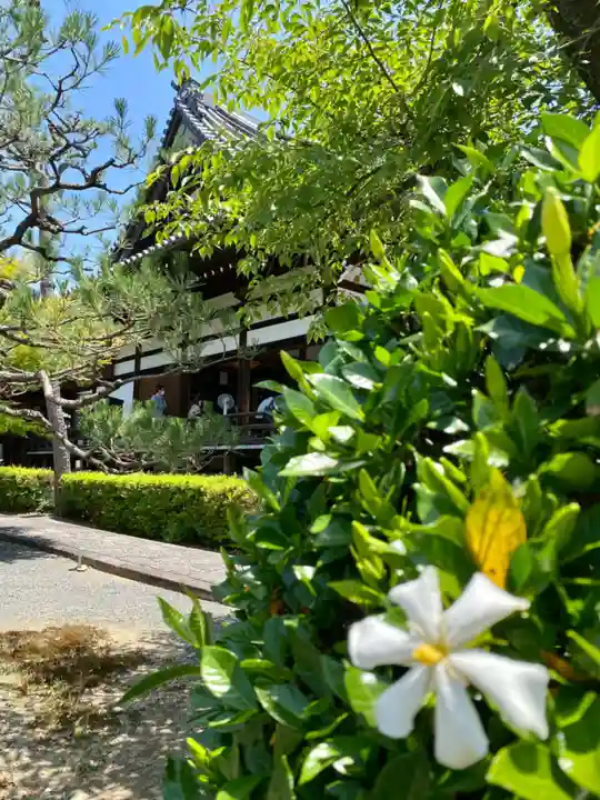阿弥陀寺(京都府)