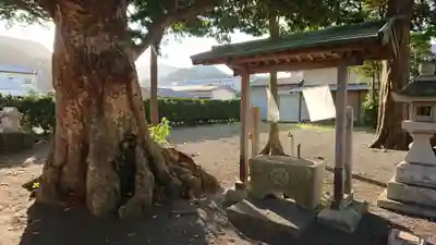 須佐乃男神社   の手水舎