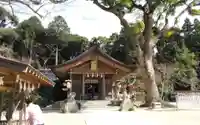 宝満宮竈門神社の本殿・本堂
