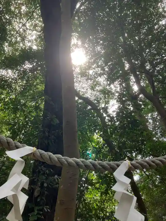 賀茂神社(滋賀県)