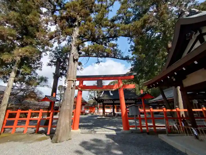 吉田神社の{uncategorized: "未分類", other: "その他", undefined: "問題あり", building: "その他建物", grave: "お墓", sacred_gate: "鳥居", guardian: "狛犬", statue: "像", buddha: "仏像", history: "歴史", nature: "自然", garden: "庭園", animal: "動物", pagoda: "塔", temizu: "手水舎", mountain_gate: "山門・神門", sanctuary: "本殿・本堂", subordinate: "末社・摂社", art: "芸術", scenery: "景色", jizo: "地蔵", ema: "絵馬", goshuin: "御朱印", omikuji: "おみくじ", items: "授与品その他", amulet: "お守り", goshuincho: "御朱印帳", eats: "食事", festival: "お祭り", votive_dance: "神楽", shichigosan: "七五三参", wedding: "結婚式", experience: "体験その他", initially: "初詣", around: "周辺", anti_infection: "感染症対策"}
