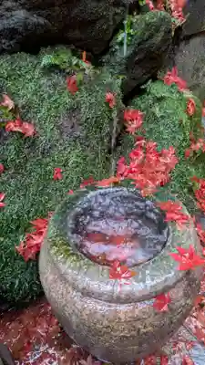 眼力社(京都府)