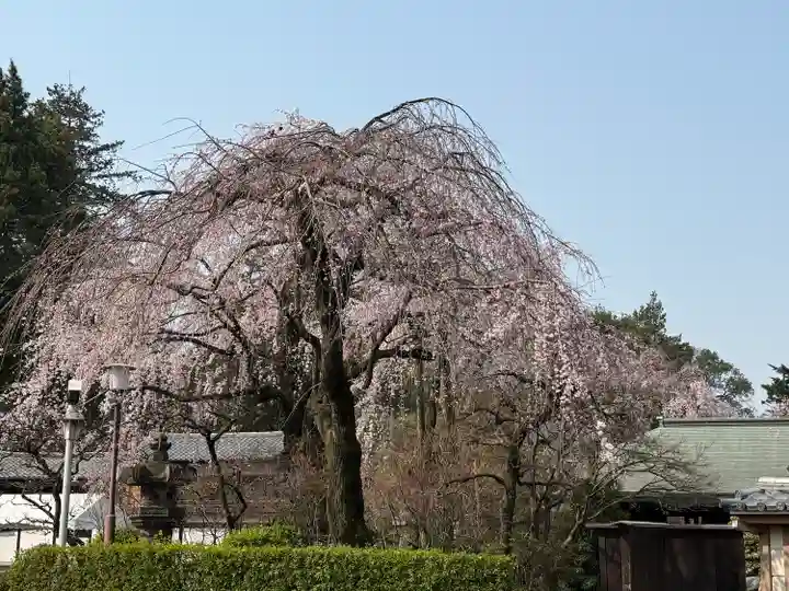 喜多院(埼玉県)
