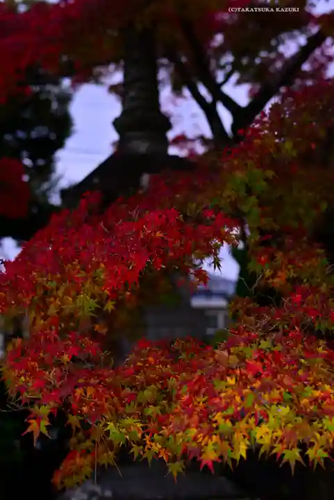 高幡不動尊 金剛寺(東京都)