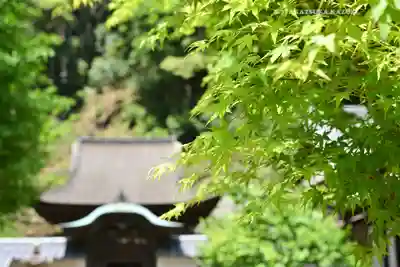 円覚寺(神奈川県)