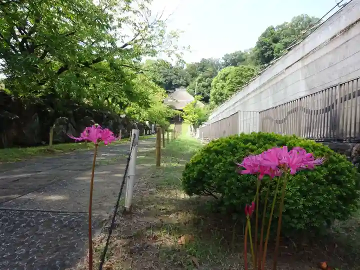横浜 西方寺の自然