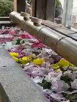 群馬県護国神社(群馬県)