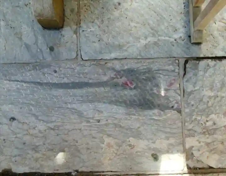 三峯神社(埼玉県)