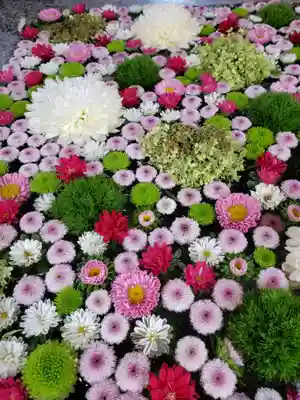 高円寺氷川神社(東京都)