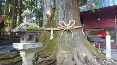 北口本宮冨士浅間神社(山梨県)