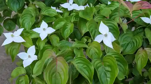 樹敬寺(三重県)