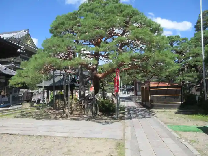 善光寺大勧進(長野県)