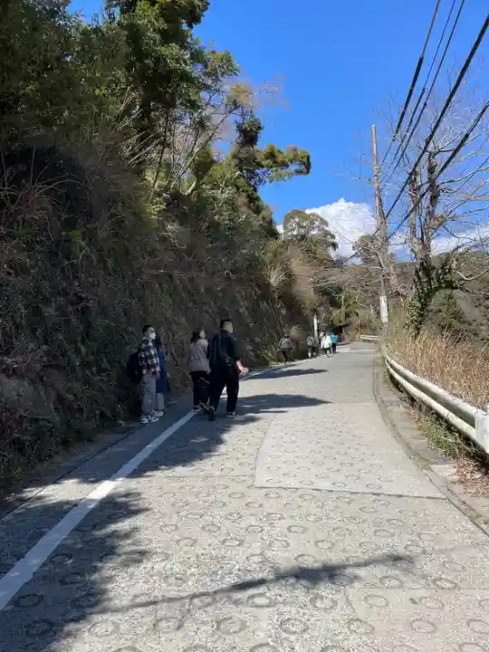 銭洗弁財天宇賀福神社(神奈川県)