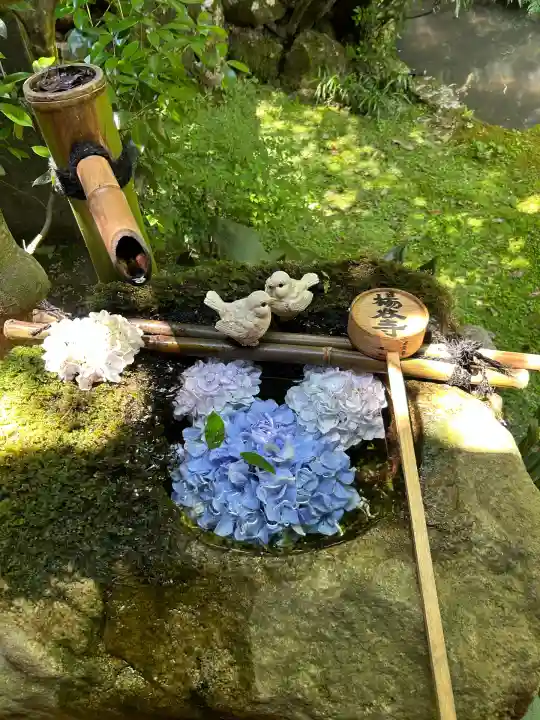 柳谷観音 楊谷寺(京都府)