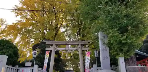 葛西神社の鳥居