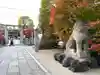晴明神社の狛犬
