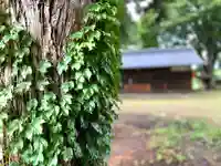 吉田神社(長野県)