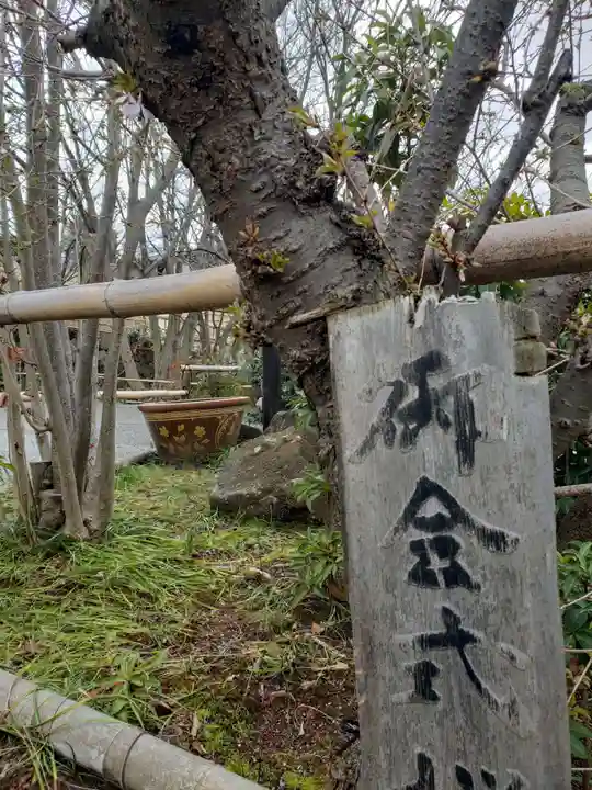 妙蓮寺のその他建物