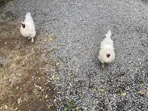 高屋敷稲荷神社(福島県)