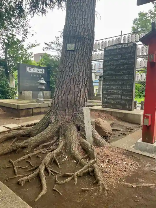 西堀氷川神社(埼玉県)