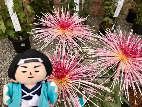 池上本門寺の自然