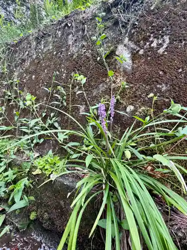 彌美神社(福井県)
