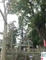 五所神社(神奈川県)