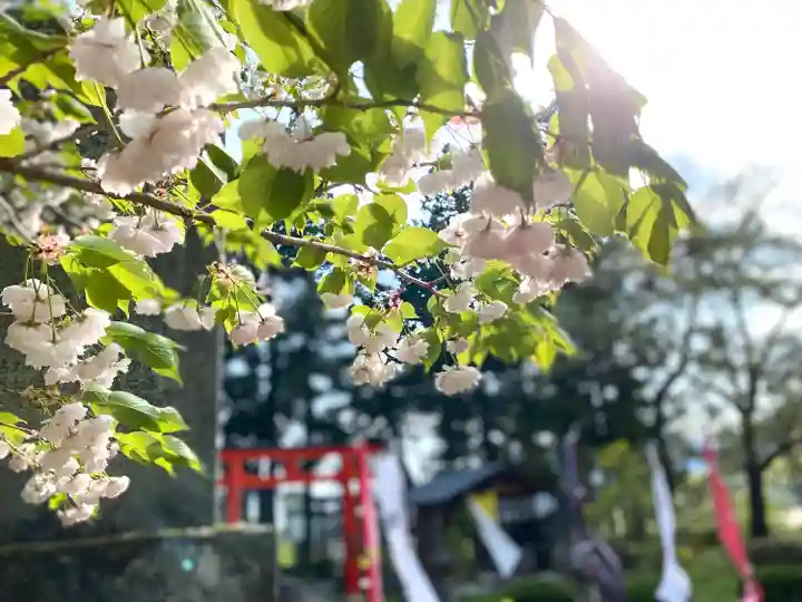 真田神社の自然