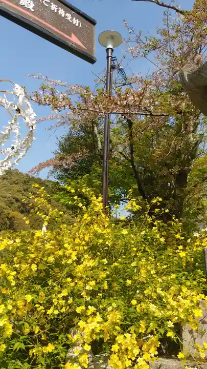 松尾大社の自然