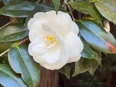 大豊神社(京都府)