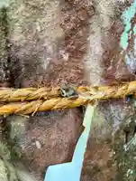 蚊里田八幡宮(長野県)