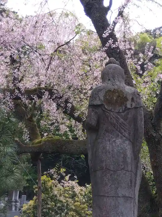 安養寺(福井県)