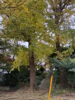 倶利伽羅不動尊(千葉県)