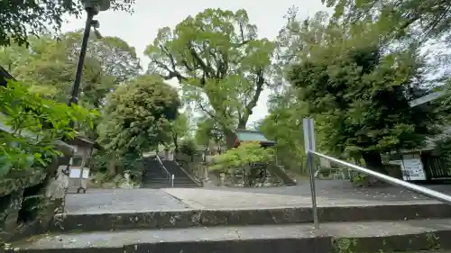 鹿児島神宮(鹿児島県)