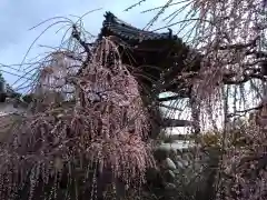 本立寺(愛知県)