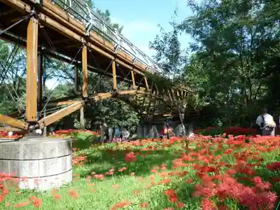 金刀比羅神社の周辺