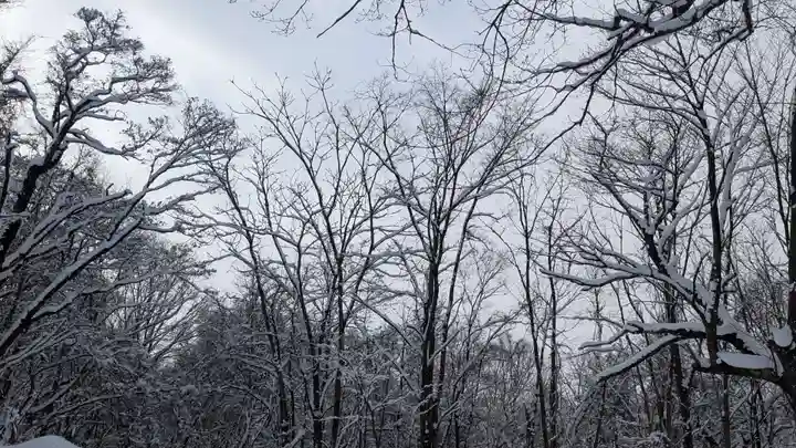 旭山稲荷金刀比羅神社の景色