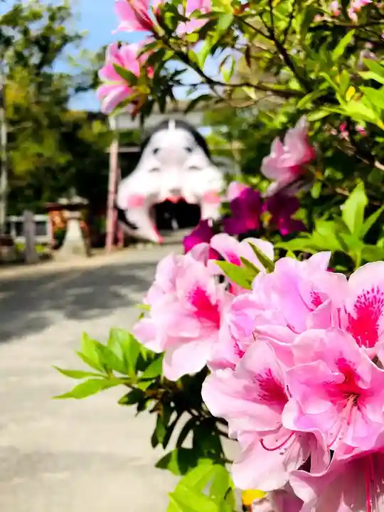 柳川総鎮守 日吉神社の自然