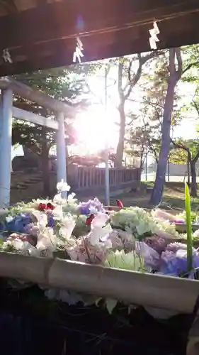 江南神社の手水舎