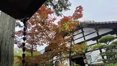 霊源院(京都府)