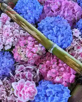 立志神社(滋賀県)
