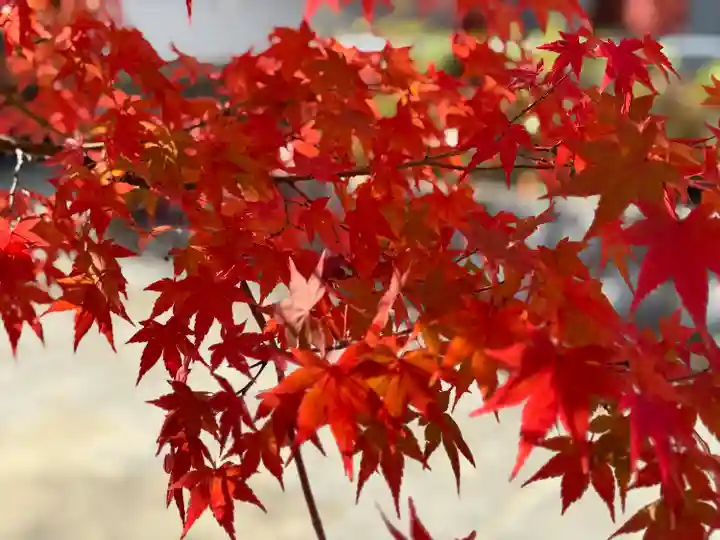 伊勢の国 四天王寺(三重県)