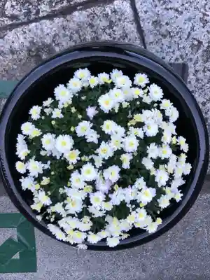 徳島眉山天神社の手水舎