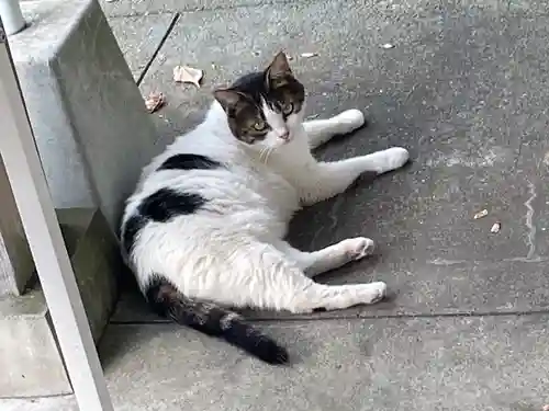 皇大神宮（烏森神社）(神奈川県)