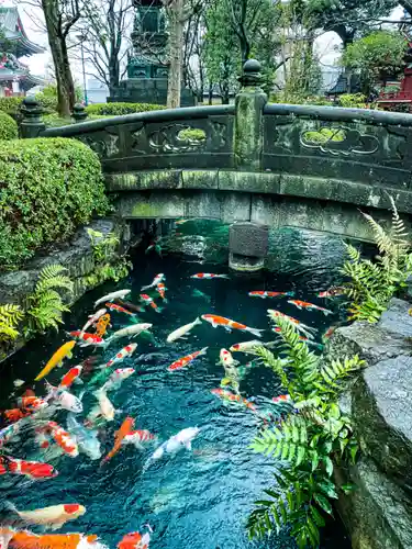 浅草寺の庭園