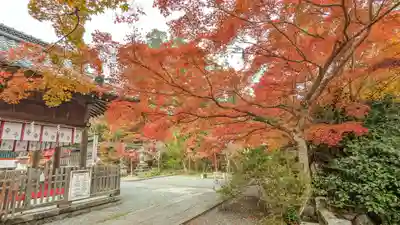 鍬山神社(京都府)