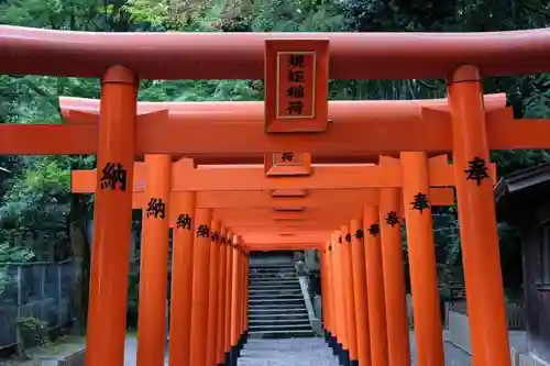 蒲生八幡神社の鳥居