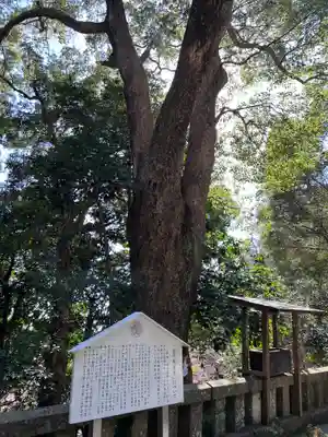 久能山東照宮(静岡県)